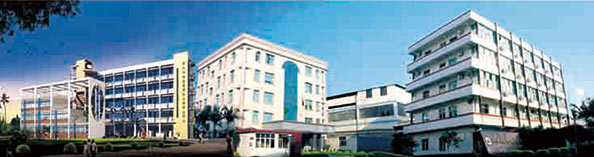 興業(yè)皮革科技股份有限公司在深交所成功上市（1992年，公司參股興業(yè)皮革廠，成為主要股東之一）。